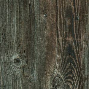 TORTORA