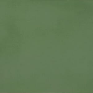 EVOLUTION GREEN