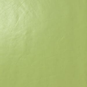 architecture acid green gloss