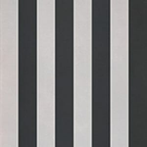 evolution stripes a