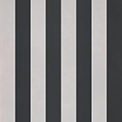 evolution stripes a