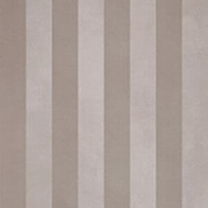 evolution stripes c