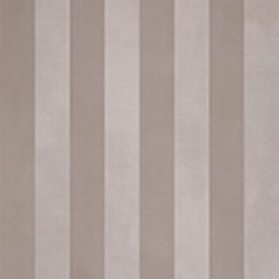 evolution stripes c