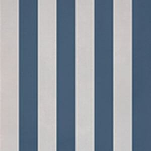 evolution stripes d